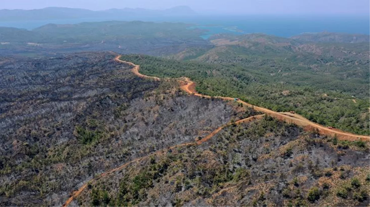 Bakan Kirişci, Marmaris yangınıyla ilgili son durumu paylaştı: 4 bin 500 hektar alan küle döndü