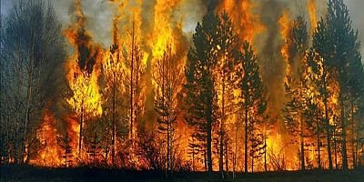 Bir Günde 14 Orman Yangını