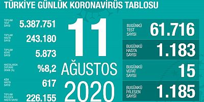 Türkiyedeki corona virüsü vaka ve ölü sayısında son durum