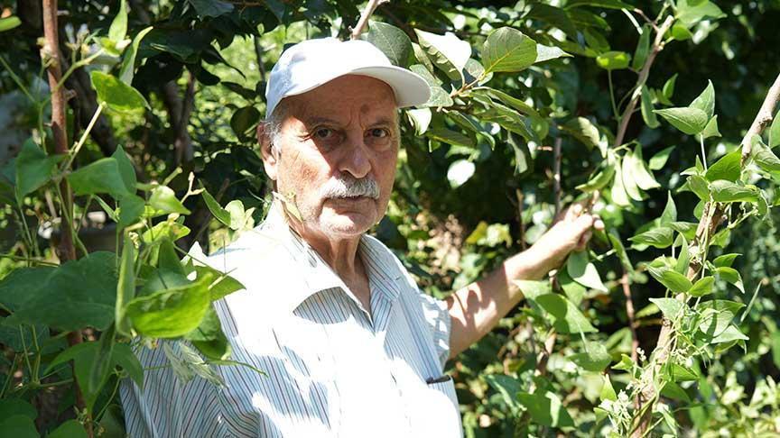 50 farklı ülkeden 200 çeşit tohumu Samsun'a getirdi: Yetkililer ‘olmaz' dedi, ben 100 ton üretip sattım