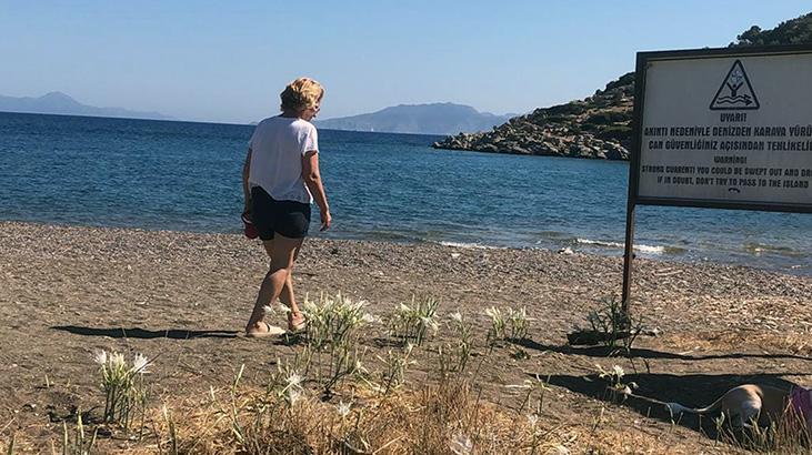 557 bin liralık cezayı duyan: Yanından bile geçmeyiz herhalde