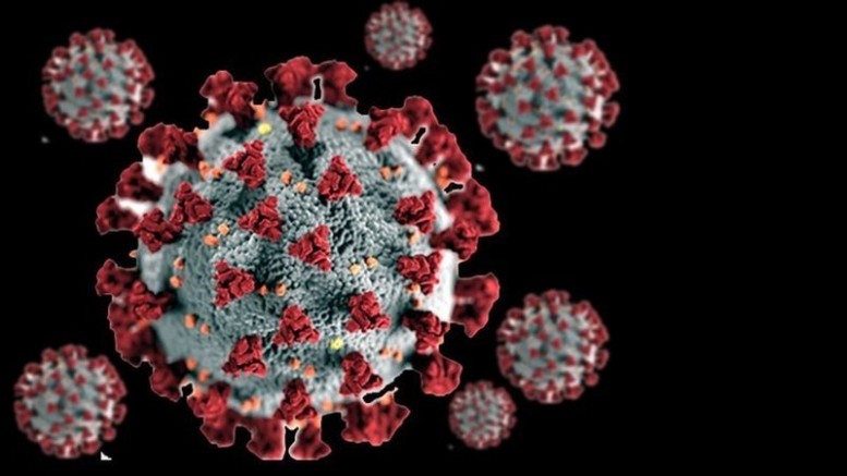Dünyayı sarsan 'virüs' iddiası: ABD fonuyla üretildi, pandemiden 2 yıl önce sızdırıldı!