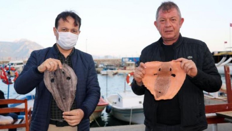  İki Türk Girişimciden Çılgın Proje, Siyanürden 1200 Kat Daha Zehirli Balon Balığı'ndan Elde Ettiler