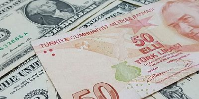 2021de dolar karşısında en fazla değer kazanan para birimi Türk Lirası oldu
