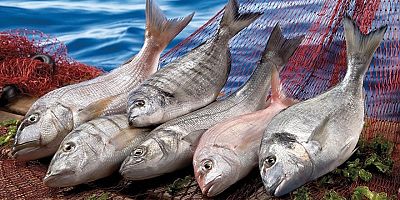 Balık Fiyatları Kırmızı Et Fiyatları İle Yarışıyor