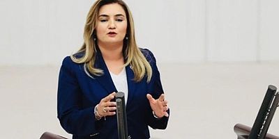 CHP İzmir Milletvekili Av Sevda Erdan Kılıç
