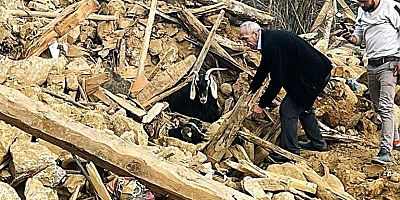 Depremden 637 saat sonra enkazdan 2 keçi canlı çıkarıldı