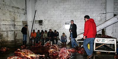 İzmir'de tonlarca çürümüş at eti ele geçirildi