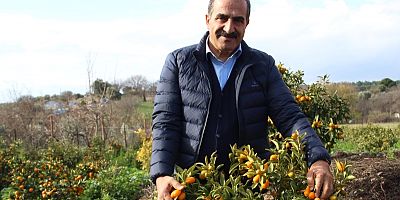 İzmir’in tarım ürünleri listesine kumkuat eklendi