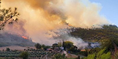 Menderes ve Seferihisar ilçeleri arasında orman yangını çıktı