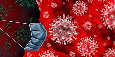 Otopside korkunç koronavirüs gerçeği ortaya çıktı