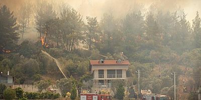Son 2 gündeki 9 orman yangınından 8'i insan kaynaklı