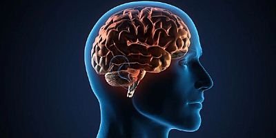 Tıp Dünyasında Benzeri Görülmemiş Bir Vaka: Beyinde Canlı Solucan Bulundu