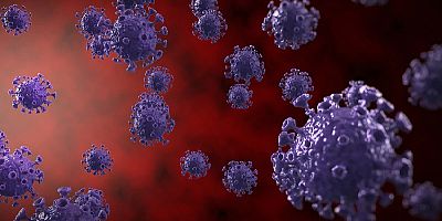 Yeni bir çalışma, koronavirüsün saatlerce havada ve günlerce yüzeylerde kalabileceğini ortaya koydu