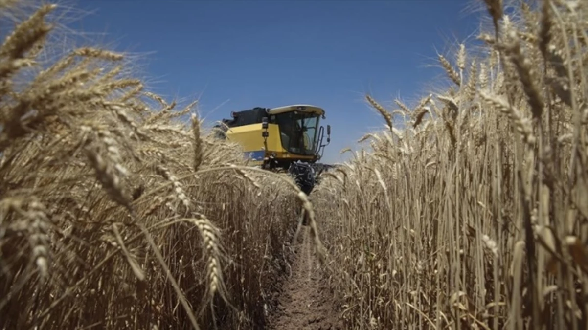 Tarım-ÜFE Mayıs'ta yıllık yüzde 61,24 arttı