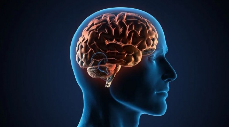Tıp Dünyasında Benzeri Görülmemiş Bir Vaka: Beyinde Canlı Solucan Bulundu