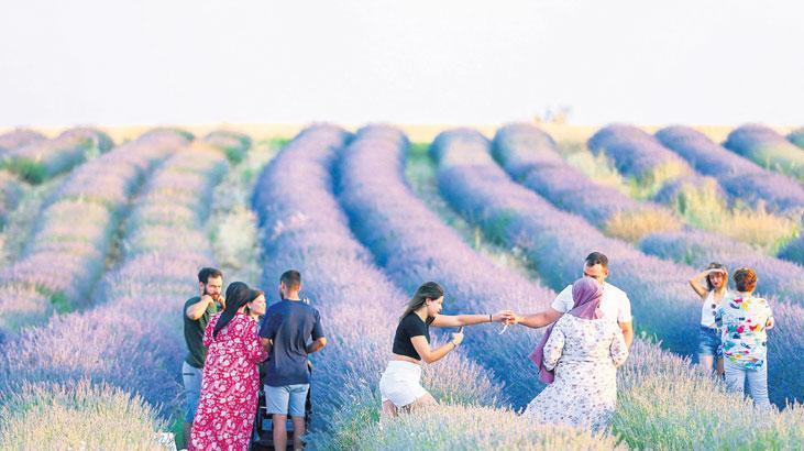 Uşak’ta ‘mor bahçeler’e ilgi gün geçtikçe artıyor